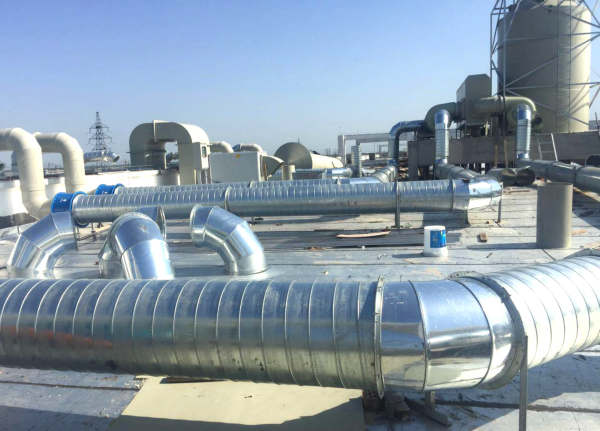 久久久久亚洲av无码专区蜜芽