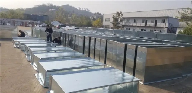 久久久久亚洲av无码专区蜜芽